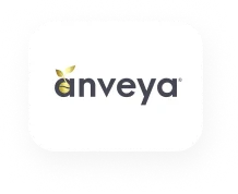 Anveya - Shopify Page Speed Optimisation (Logo)