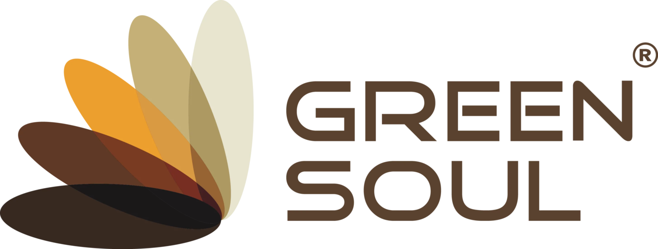 Shopify Development for Green Soul Chairs